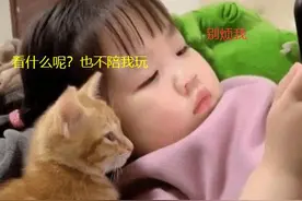 ​3岁女儿正在玩手机，小猫过来凑热闹，宝妈：下一秒把人给笑翻图片