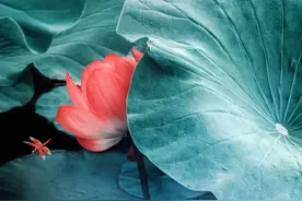 哲思｜曾有七次我鄙视了自己的灵魂图片