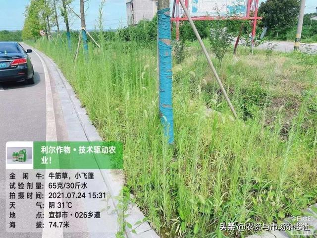 精草铵膦群雄竞逐，谁主沉浮？