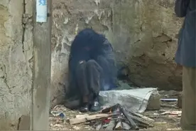 河南第一懒人，从不工作，宁愿挨饿也不做饭，23岁饿死在家中图片