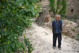 8旬老夫妻居住两百多年的老窑洞，不舍搬离：祖上用3斤面换来的图片