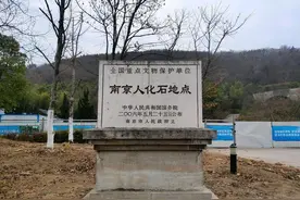 农民上山采石头，挖出了人类头骨，专家：“最早的南京人”图片