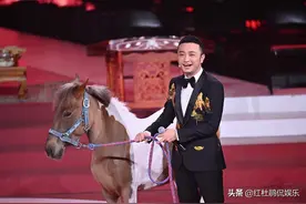 尼格买提在央视综艺频道很受重用，已把杨帆马跃宫岩远远甩在身后图片