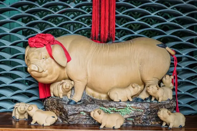 鳄鱼肉炖花胶 2026年鳄鱼肉炖花胶