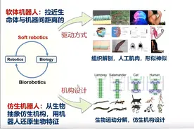上海交大团队联合MIT团队发明操作感知一体化的软体神经假肢手图片