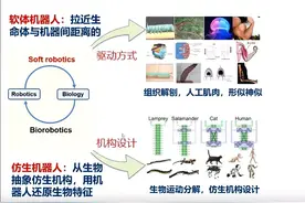 上海交大团队联合MIT团队发明操作感知一体化的软体神经假肢手图片