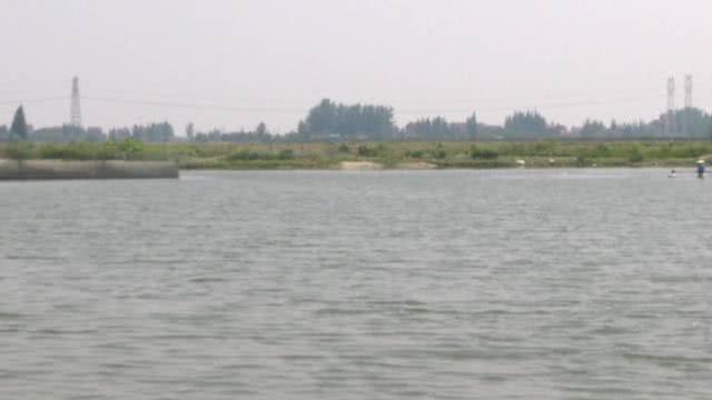 为什么告诉了鱼鳞片就变色