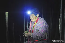 家中无劳力，山西71岁老人深夜摘香椿，从12点半摘至凌晨5点图片