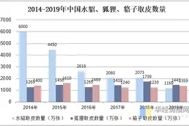 毛皮行业发展现状及发展策略分析，政府应加大扶持力度「图」图片