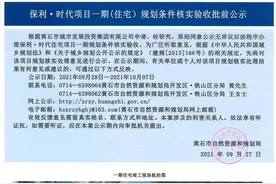 保利时代一期（住宅）核实验收批前公示 黄石第一高楼最新进度曝光图片