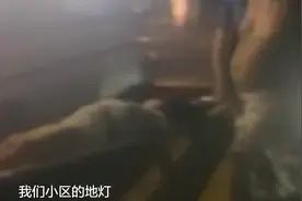 5岁女孩小区内被裸露电线触电身亡，漏电时间长达4年未解决，曾有小狗被触电图片