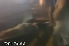 5岁女孩小区内被裸露电线触电身亡，漏电时间长达4年未解决，曾有小狗被触电图片