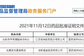 一日两款！恒瑞医药麻醉药、滴眼液获批上市图片