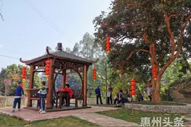 村民乐当“铺路石”！博罗黄塘村新农村建设上演“黄塘速度”图片