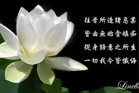 冤枉人了，学佛人虔诚忏悔！图片