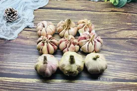 教你一种保存大蒜的好方法，一年不会发芽枯萎，简单方便图片
