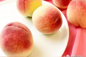 中国常见水蜜桃产地品种及上市时间图片