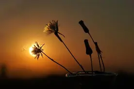 明明什么都没做，就好像都是我的错一样图片