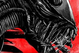 高清壁纸（70）：铁血战士VS异形图片