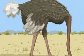 童话打假：鸵鸟把头埋土里，乌鸦喝水，鳄鱼的眼泪…图片