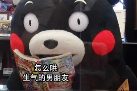 熊本熊看书表情包合集|如何哄生气的男朋友图片