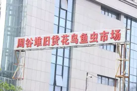 周谷堆这里有个旧书市场，邂逅一段旧时光图片