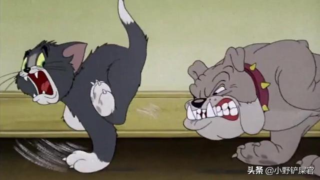 《猫和老鼠》里的狗是什么来头?"我很丑,而且我不温柔"
