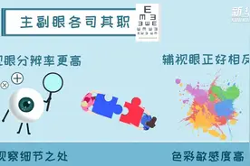 围观！如何分清你的主副眼图片
