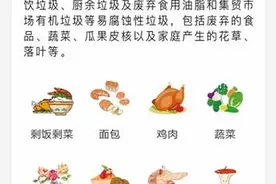 生活垃圾分类标准图片