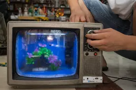 电视能养鱼能听歌，废酒瓶也能变成工艺品，看山东小伙咋变废为宝图片