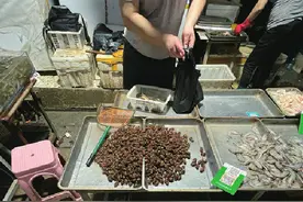 知了猴大量上市，每斤近百元不愁卖！济南市场多来自菏泽、济宁等地图片
