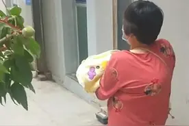 “最憨老爸”因接娃出院走红，妻子要桃枝辟邪，他差点刨了个桃树图片