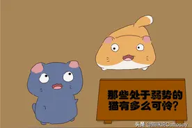 猫竞争失败，对猫而言并非坏事，猫可以成长图片