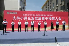 陕西宝鸡：岐山农商银行开业 为211户企业集中授信21.34亿元图片