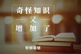 这一次你要相信我，鲁迅真的说过这句话图片