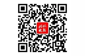 桂林市检察院对陈基福等51人黑社会性质组织提起公诉，指控18项罪名图片