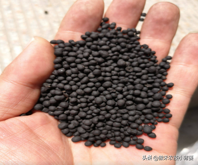 腐植酸、氨基酸、海藻酸、鱼蛋白，如何辨别挑选？各有什么优点？