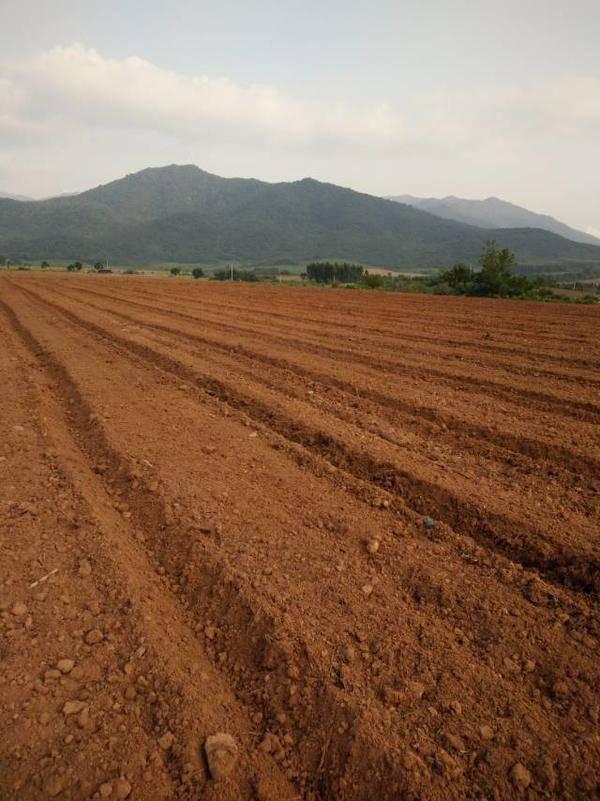 海南农业领军企业---东方嘉品源农业科技开发有限公司