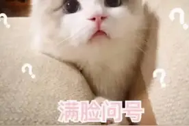 啥情况？换了新表，费用上涨？燃气公司这样说图片
