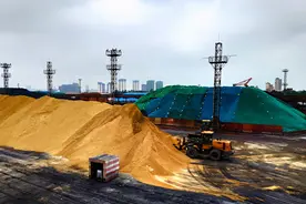 为什么我国要从国外进口沙子，而不是从沙漠中运沙子？图片