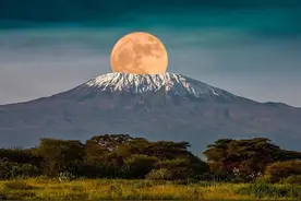 乞力马扎罗山脚下的古代湖泊现身，火烈鸟飞翔，大象失踪图片