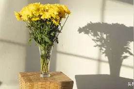 一个人最好的安全感，就是不害怕改变图片