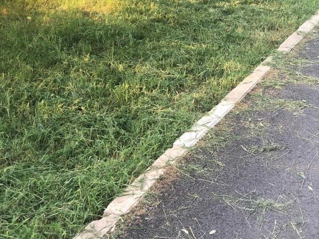 养分含量超高的营养土，自己在家也能做，省下一大笔 买花钱