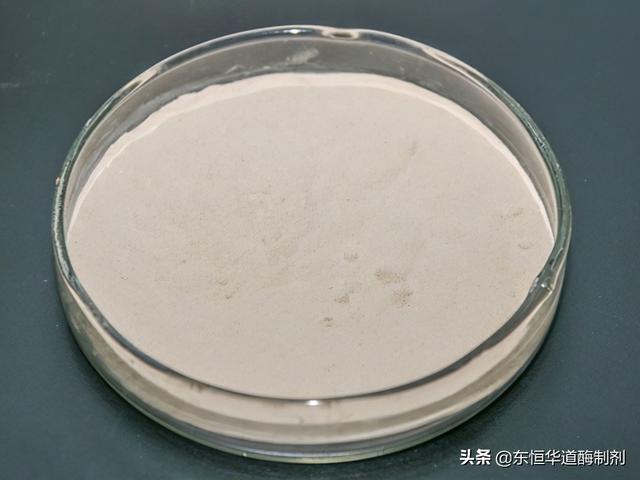 海参胶原蛋白活性肽 2025年海参胶原蛋白活性肽的作用与功效 海参胶原蛋白活性肽 2025年海参胶原蛋白活性肽的作用与功效