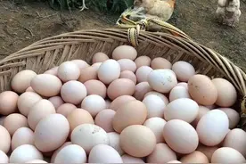 夏天鸡蛋买多了，不要放进冰箱！教你农村土方法，放1个月还新鲜图片