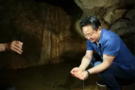 “老麻雀”的鸿雁志图片