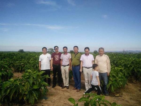 海南农业领军企业---东方嘉品源农业科技开发有限公司