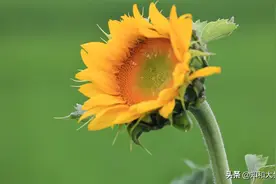 一个男人主动选择和你“断联”，通常背后有三个真实想法图片