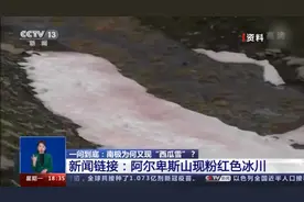 南极为何又现“西瓜雪”？原来是因为它图片