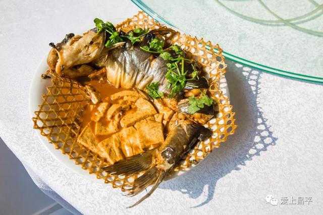 秋日农场嗨玩!露营野餐,种菜摘果,过向往的田园生活